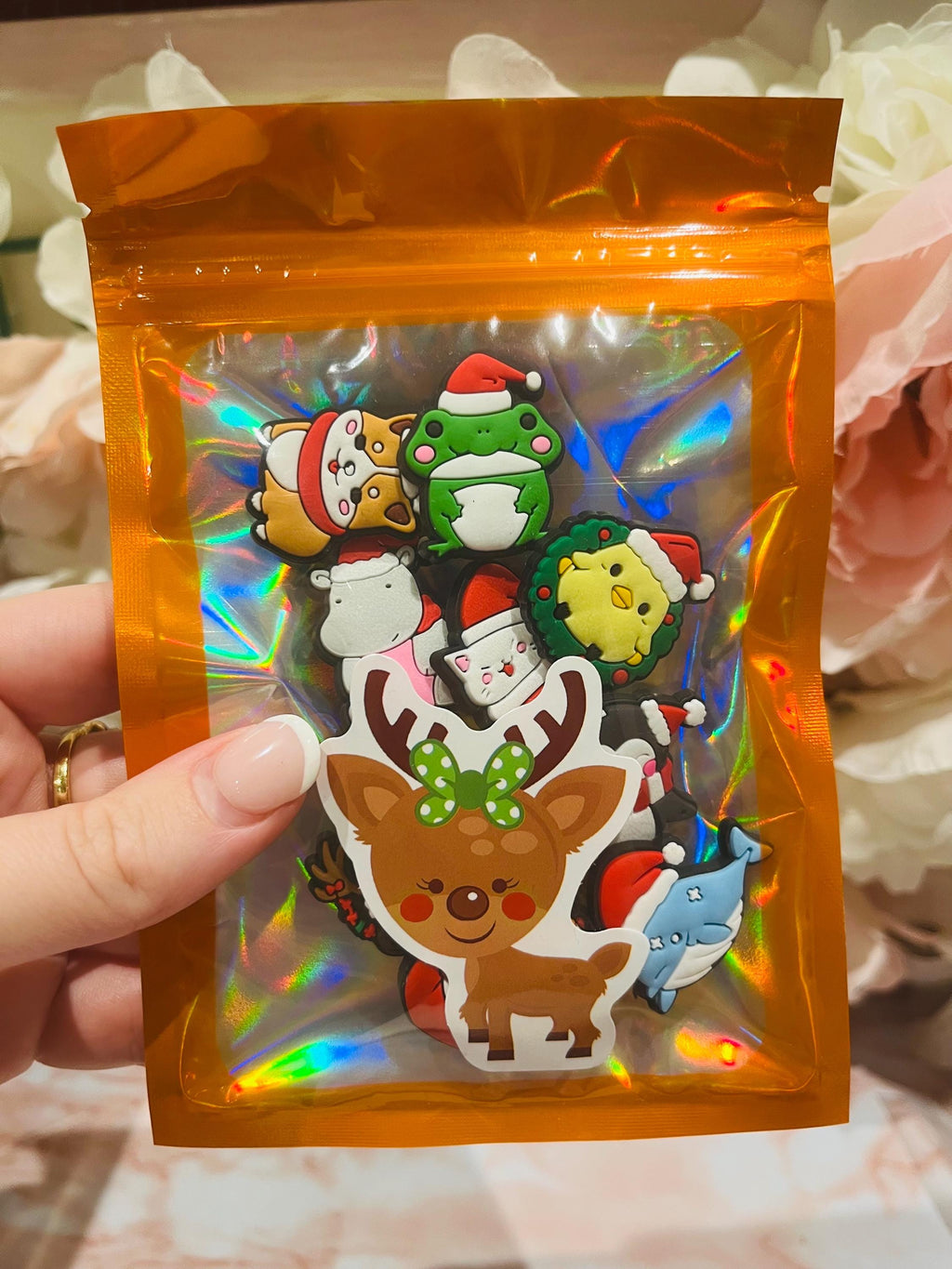 set of 10 animal christmas croc charms